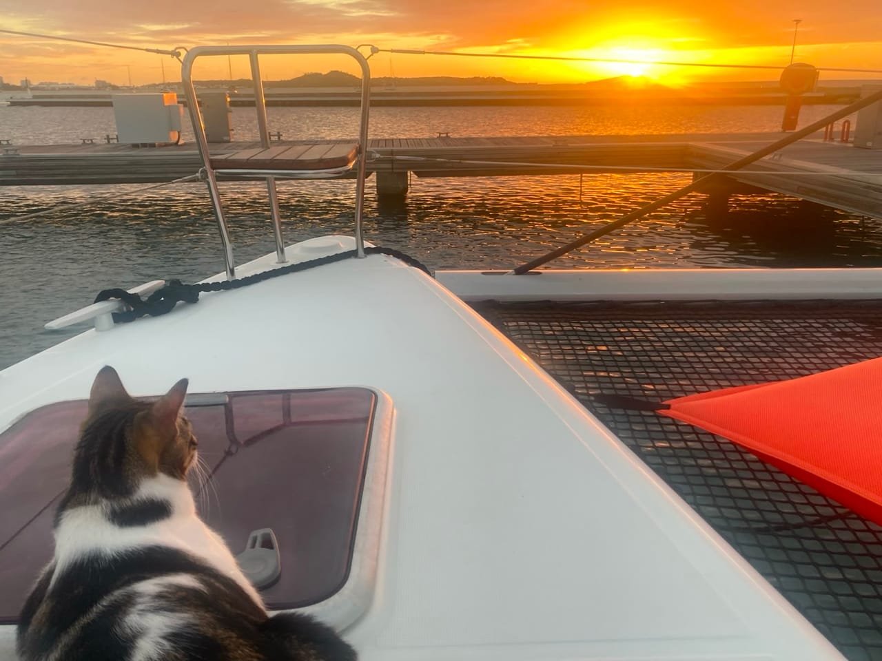 Le chat du bord installé sur les filets avant au coucher du soleil